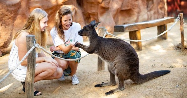 WILD LIFE Sydney Zoo Deal · 50% off General Admission*