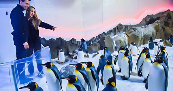 SEA LIFE Melbourne Aquarium Deal · 50% off General Admission*