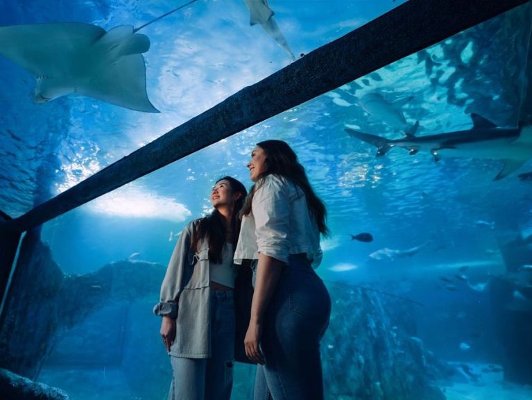 SEA LIFE Sydney Aquarium Student Discount · 50% off General Admission*