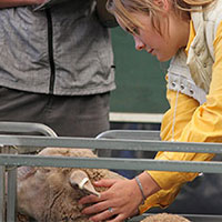 Win a $100 Westfield voucher with National Merino Challenge title image